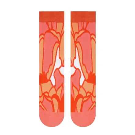 Meias Crystal - Coleção DESERTO - WWF® (2)