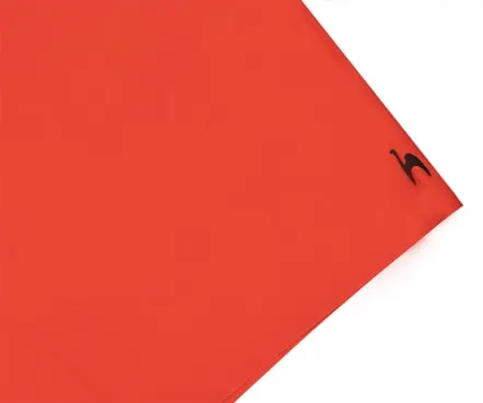 SLB Calções de Banho Benfica (2)